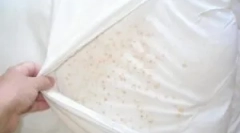 Finger fogó párnákban